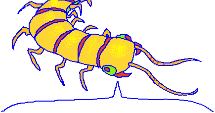 A yellow centipede with a speech bubble coming from it.